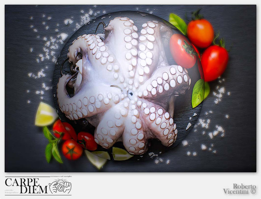 OCTOPUS IN BUBBLE.jpg